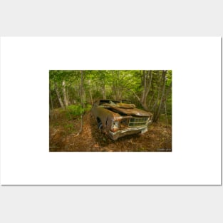 Abandoned Junker in the Woods Posters and Art